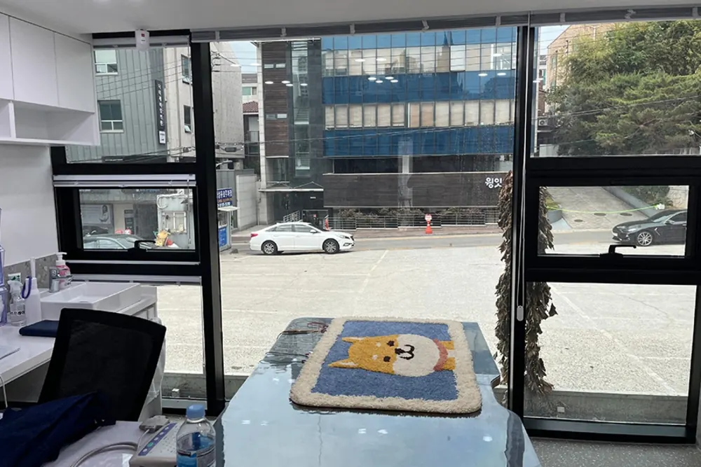 반려동물 발자국 무늬 담요가 놓인 대기 공간 책상