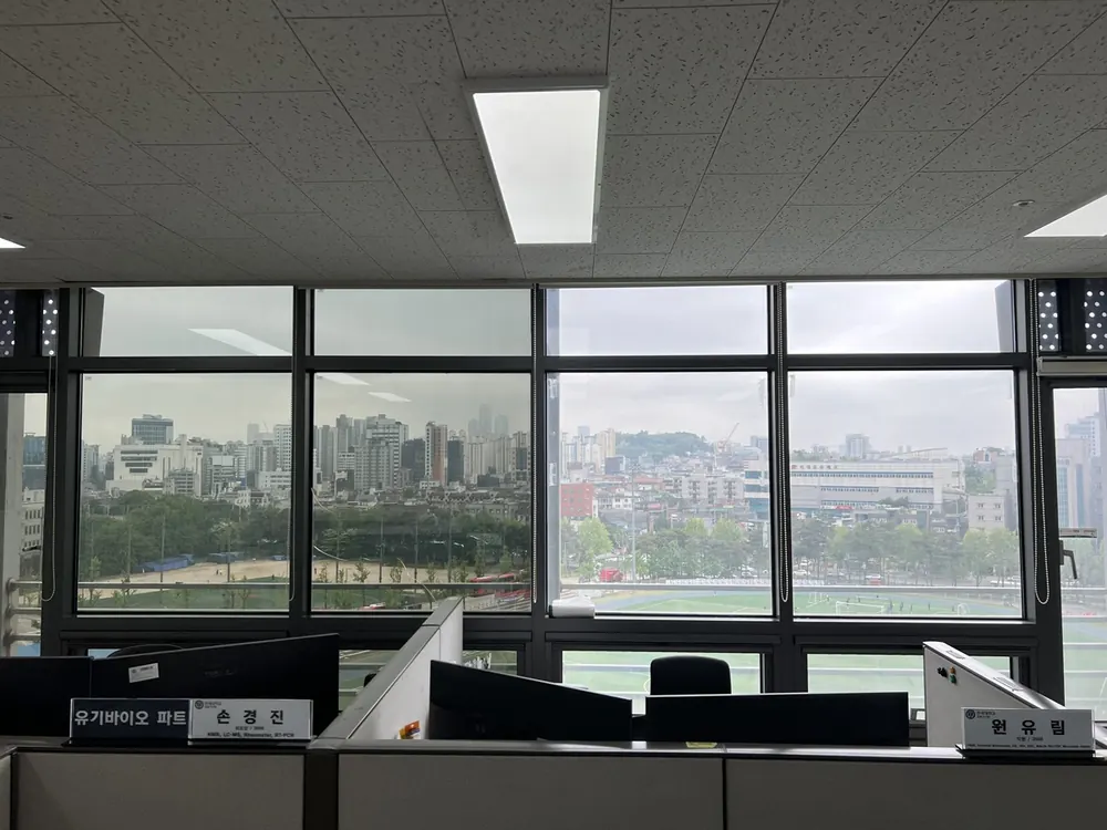 시공 후 창가 책상, 도심 전망이 선명하게 보이는 통유리와 정돈된 책상